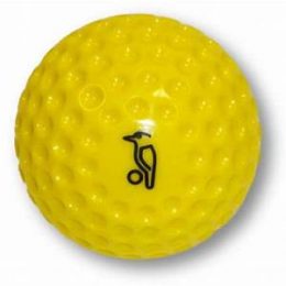 Kookaburra Practice balls
