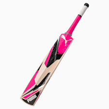 Puma Future 3.0 Junior Bat